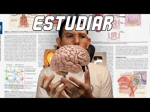 Mejorando la retención de estudio: consejos efectivos